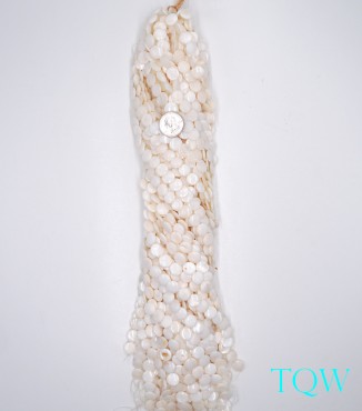 Coin Beads - White Pearlescent Shell Beads - 12 mm - 06-03-04