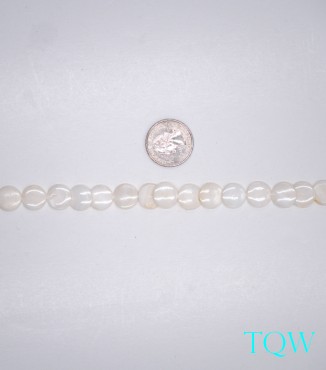 Coin Beads - White Pearlescent Shell Beads - 12 mm - 06-03-04
