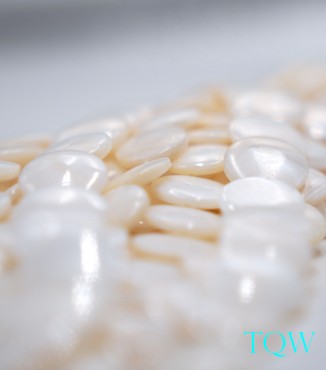 Coin Beads - White Pearlescent Shell Beads - 12 mm - 06-03-04